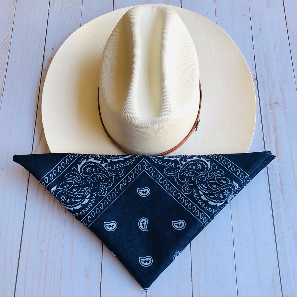Classic Blue Bandana